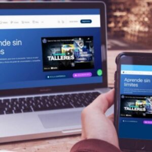 Desarrollo Web Profesional